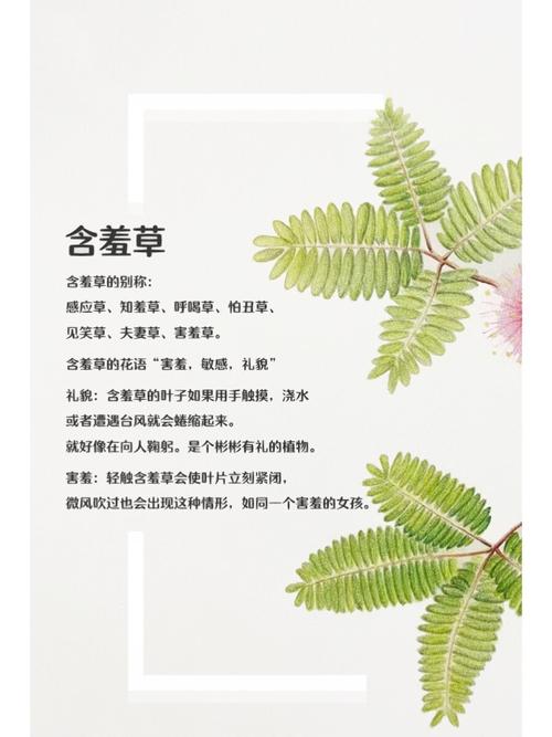 永恒影院在线观看 - 最新高清电影电视剧免费追剧平台、VIP会员视频资源全网速播