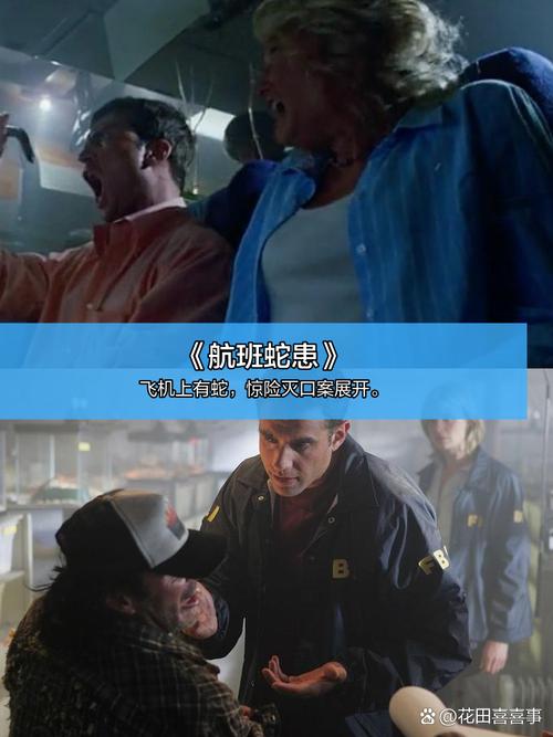天堂成人久久亚洲的相关介绍