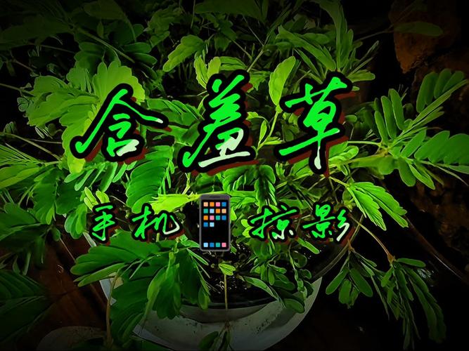 小蜜桃影院 - 最新热播剧集免费在线观看,高清无广告追剧神器