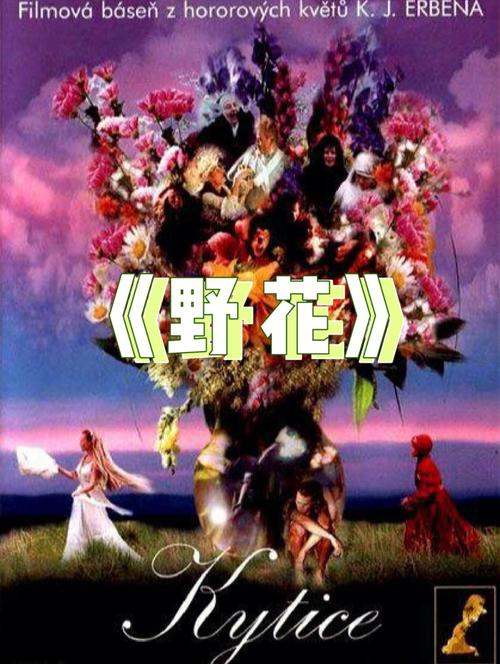 厦门电影院最新排片推荐｜厦门情侣约会电影院指南｜厦门热门影院观影攻略