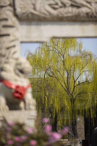 情人影院在线观看-高清电影电视剧免费追剧平台，2024最新大片抢先看