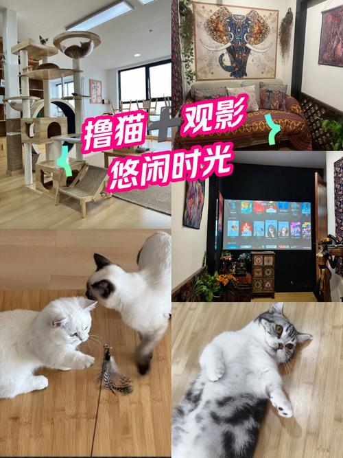 家庭私人影院沉浸式体验指南：从装修布线到4K投影仪选购的终极攻略