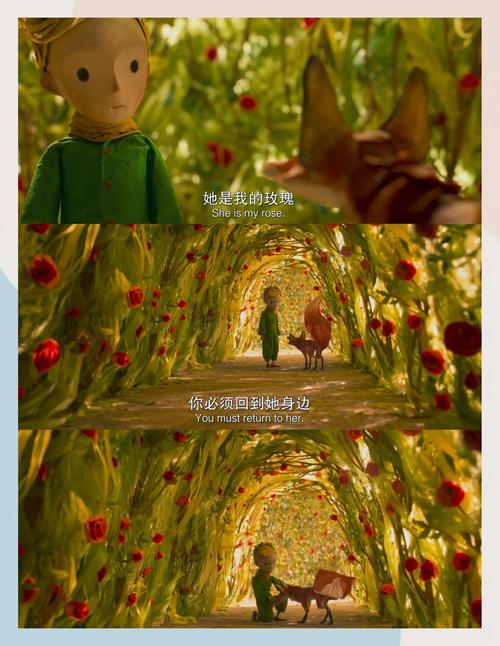 成都影院免费高清完整版在线观看 | 成都电影院最新排片 | 成都免费高清影视资源