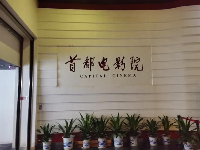 战狼影院在线观看 - 最新高清电影大片免费追剧，热门影视资源全网搜罗