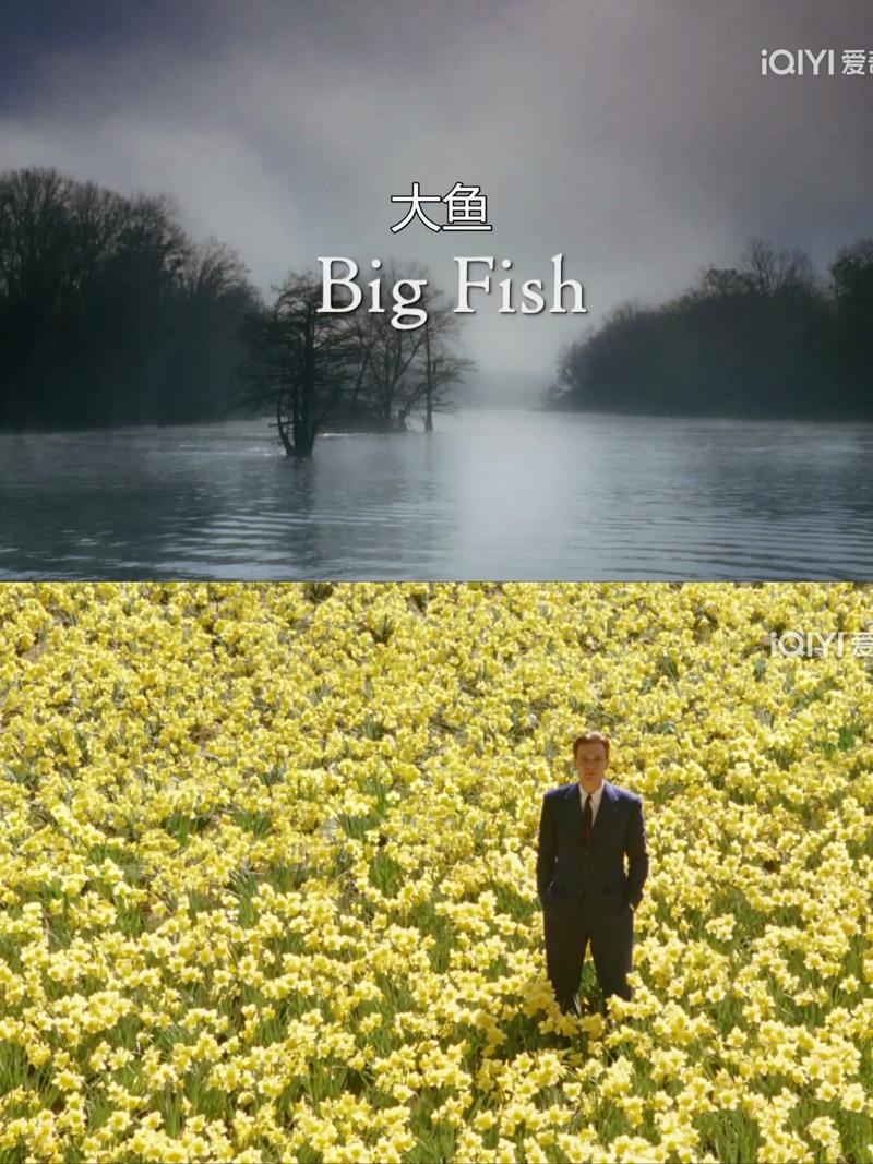 大鱼电影院 | 私人影咖观影指南、小众电影推荐、会员优惠攻略